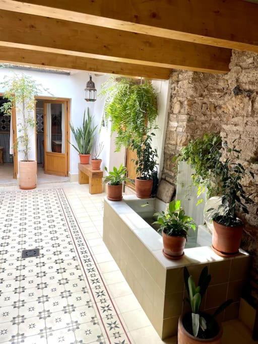 Apartamento En Casa Patio "Pan Y Conejo" コルドバ エクステリア 写真